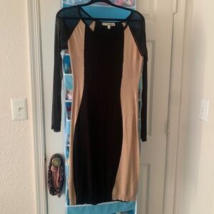 Sheer sleeve Mini Dress